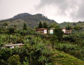 Colombia, Jardin, Coffee zone