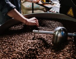 How Much Caffeine Is in a Coffee Bean?