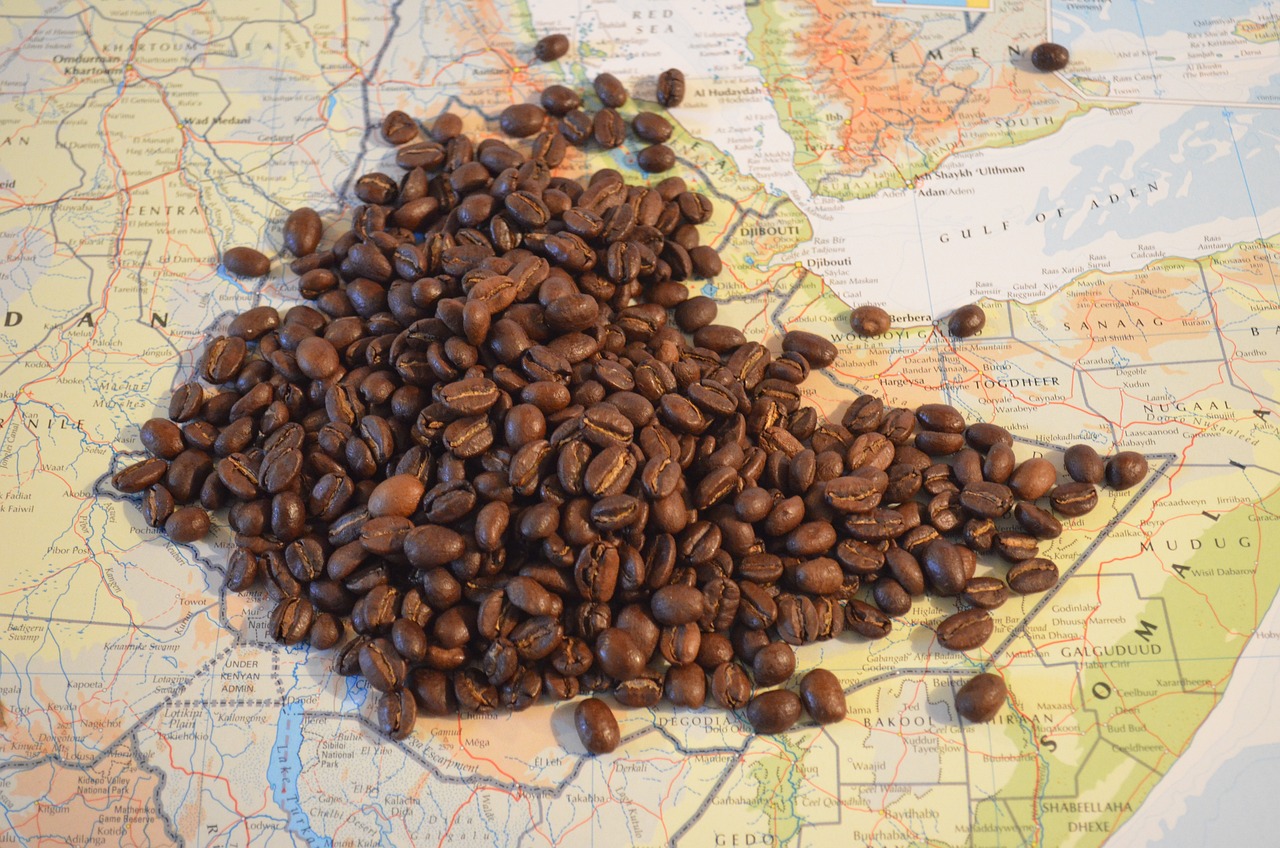 Sidamo coffee
