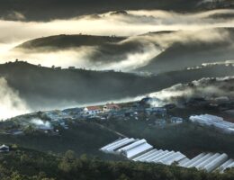 Top Coffee Producing Country