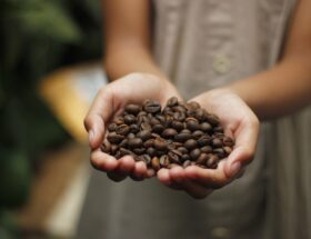 popular types of coffee beans