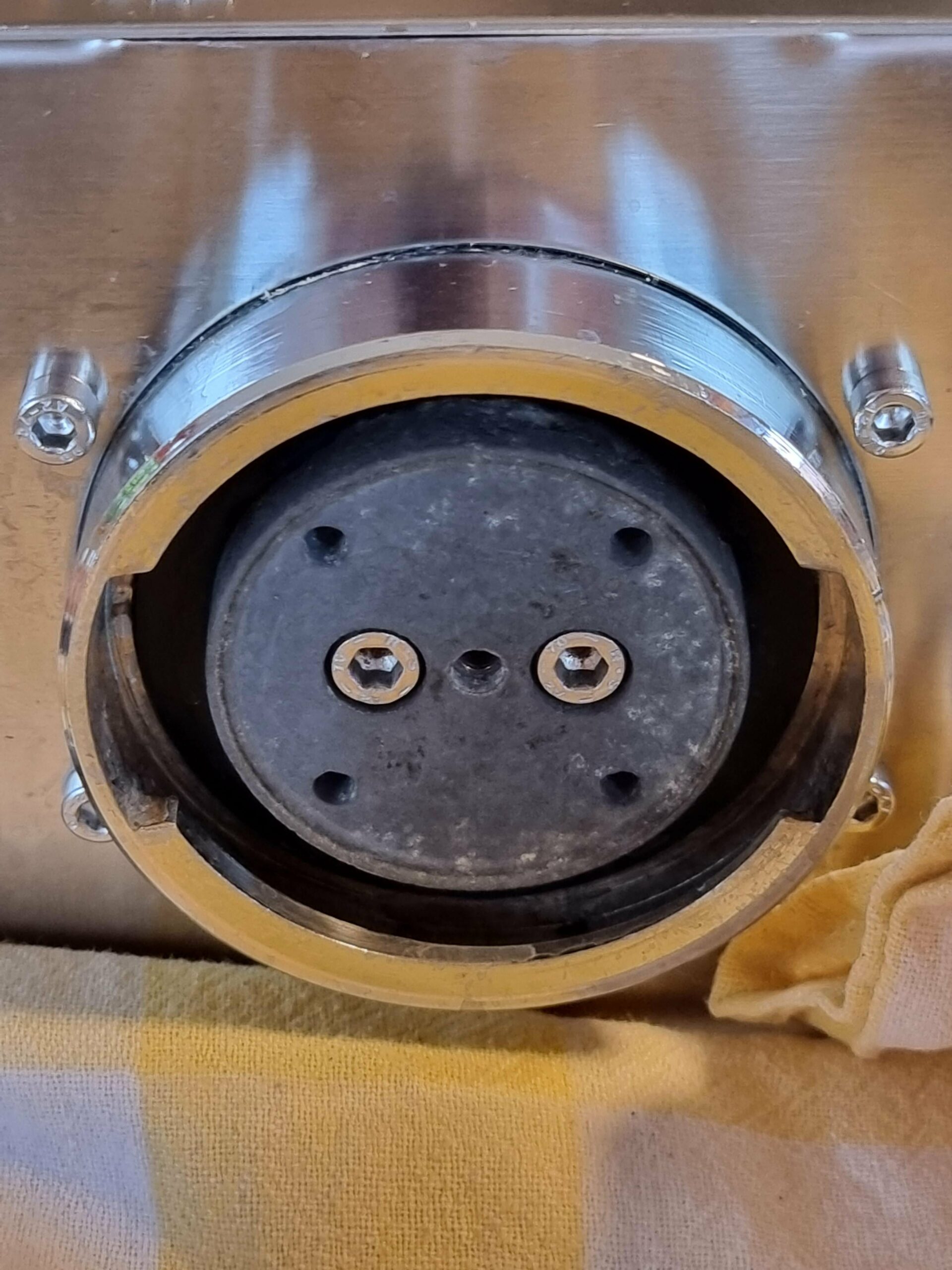 Gaggia Classic Group Head