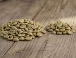 Green arabica and robusta coffee beans side by side