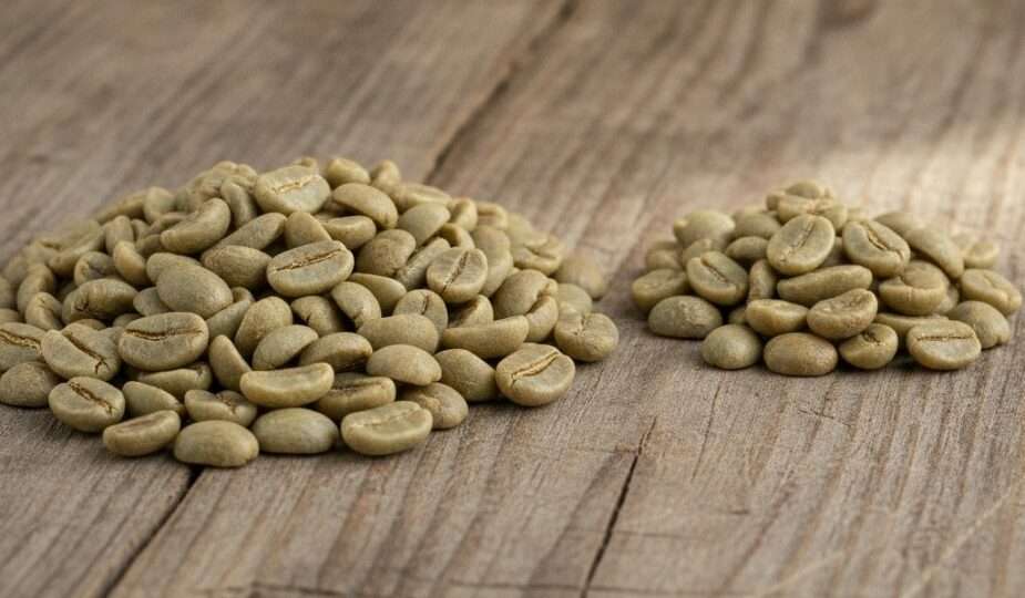 Green arabica and robusta coffee beans side by side